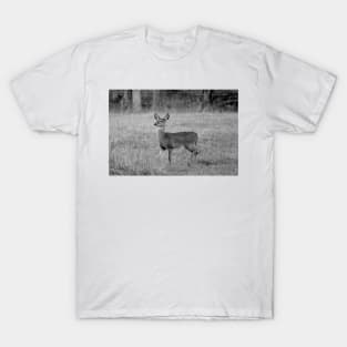 Young Deer T-Shirt